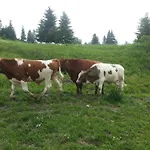 Penzión pre hostí Pribisko Zuberec
