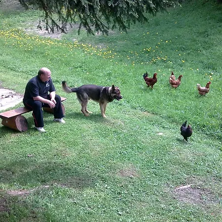 Pribisko Guest house