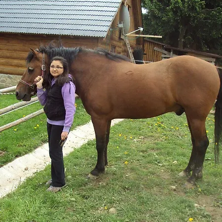 Guest house Pribisko 3*