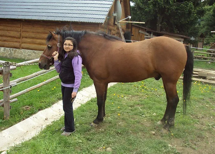 Guest house Pribisko 3*